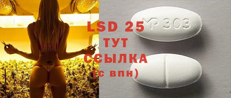 купить наркотик  Волхов  LSD-25 экстази кислота 